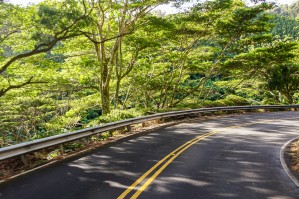 Road to Hana   Maui Hawaii 07824